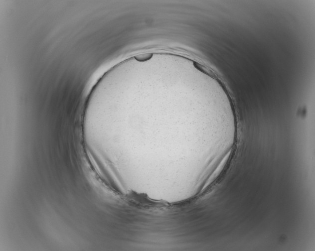 X0000110881530200907161450