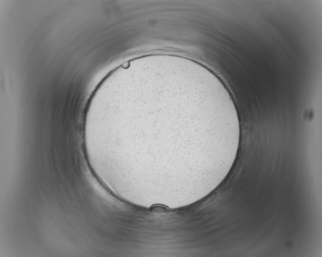 X0000110881531200907161450