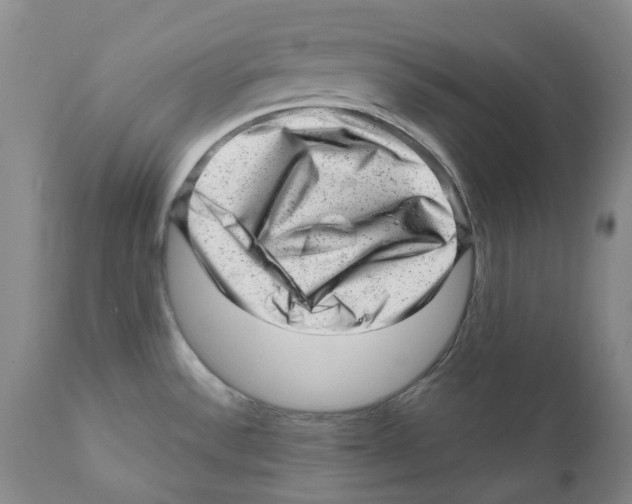 X0000110881532200907161450