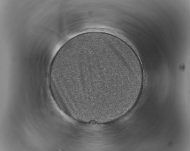 X0000110881533200907161450