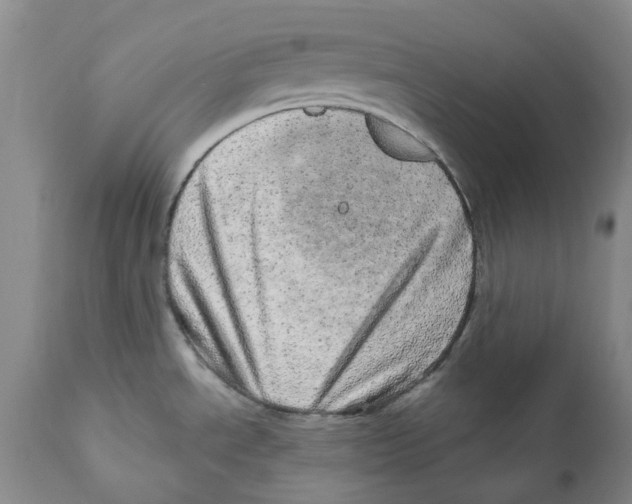 X0000110881534200907161450