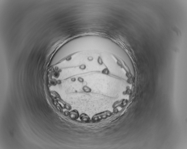 X0000110880001200907301444