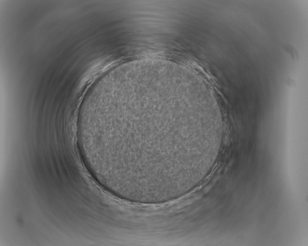 X0000110880002200907301444