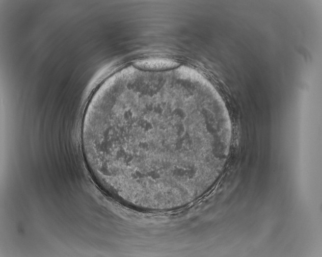 X0000110880004200907301444