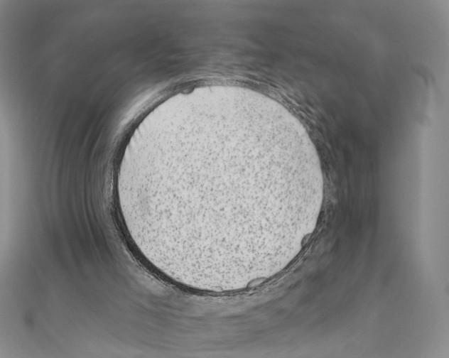 X0000110880005200907301444