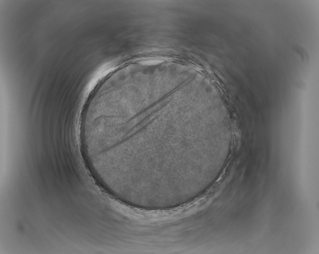 X0000110880006200907301444