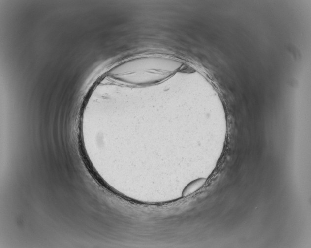 X0000110880007200907301444