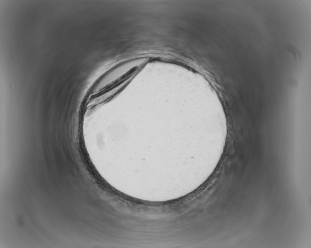 X0000110880008200907301444