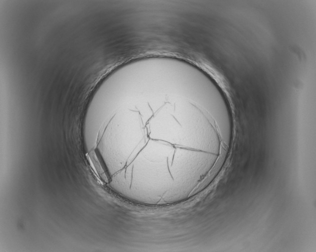 X0000110880009200907301444