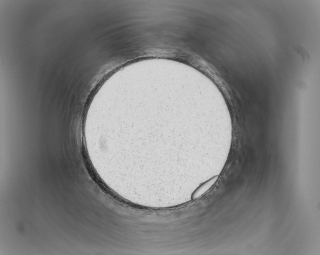 X0000110880011200907301444