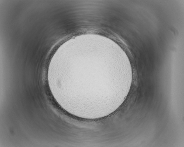 X0000110880012200907301444