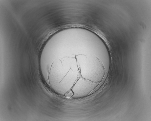 X0000110880013200907301444