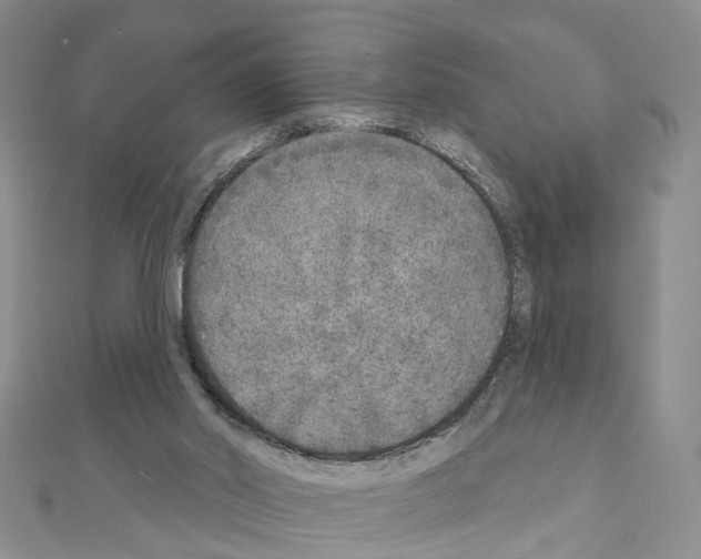 X0000110880014200907301444