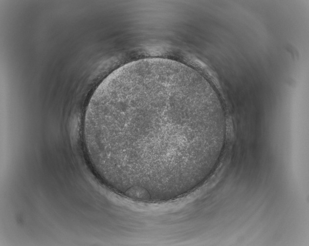 X0000110880018200907301444