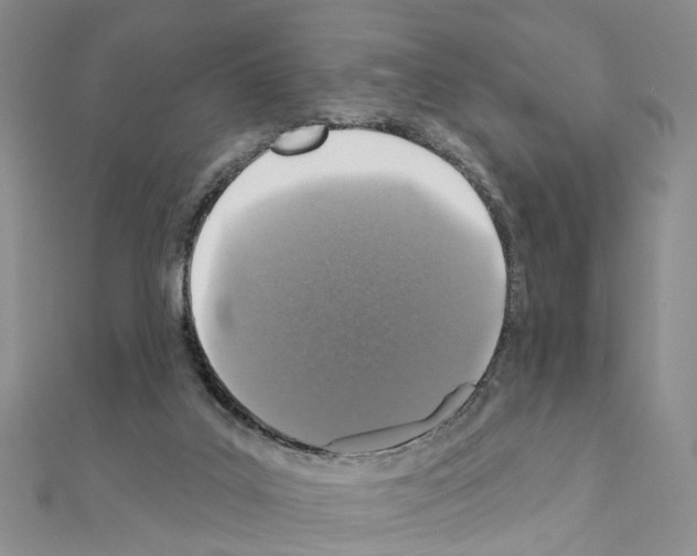 X0000110880019200907301444