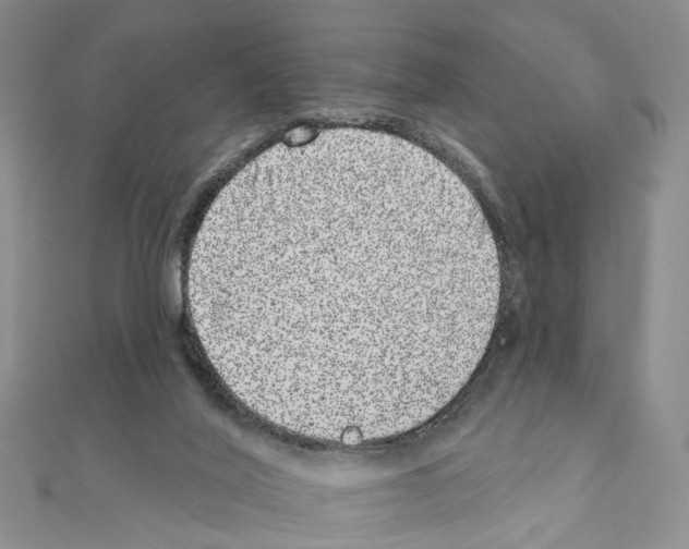 X0000110880020200907301444