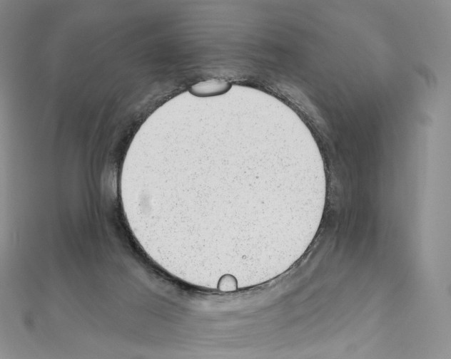 X0000110880021200907301444