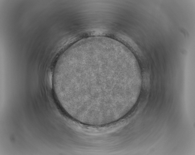 X0000110880022200907301444