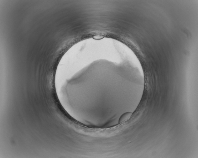 X0000110880023200907301444