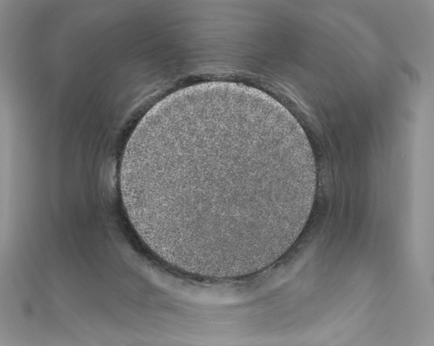 X0000110880024200907301444