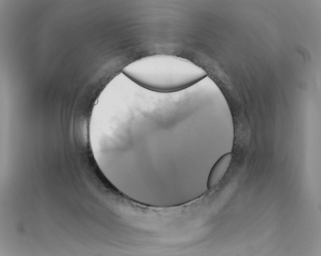 X0000110880027200907301444