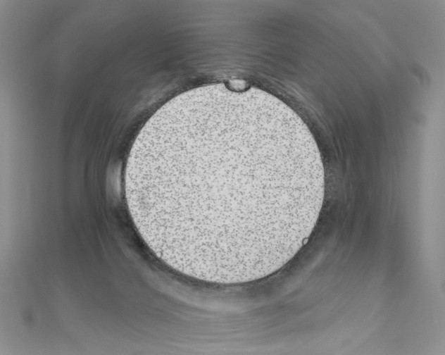 X0000110880028200907301444