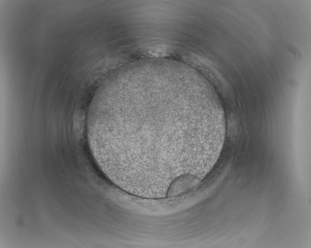 X0000110880030200907301443