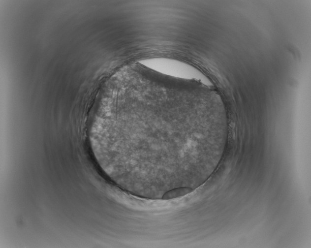 X0000110880031200907301443