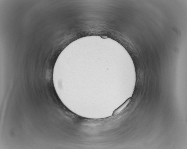 X0000110880033200907301443