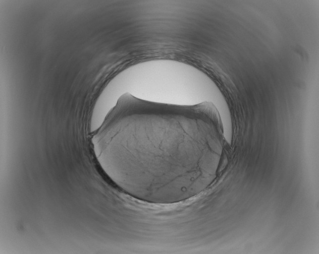 X0000110880035200907301443