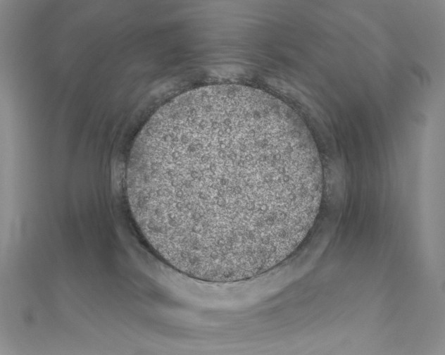 X0000110880038200907301443