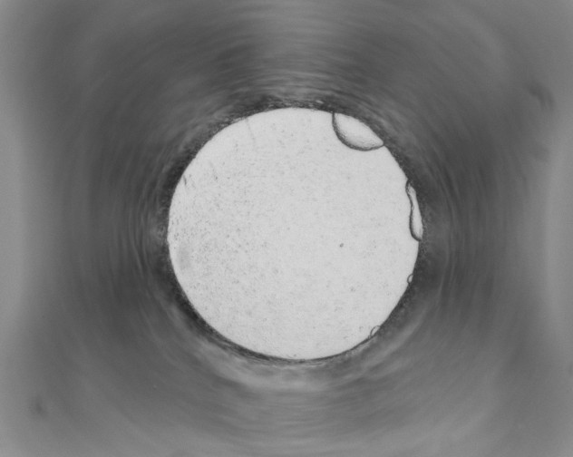 X0000110880040200907301443