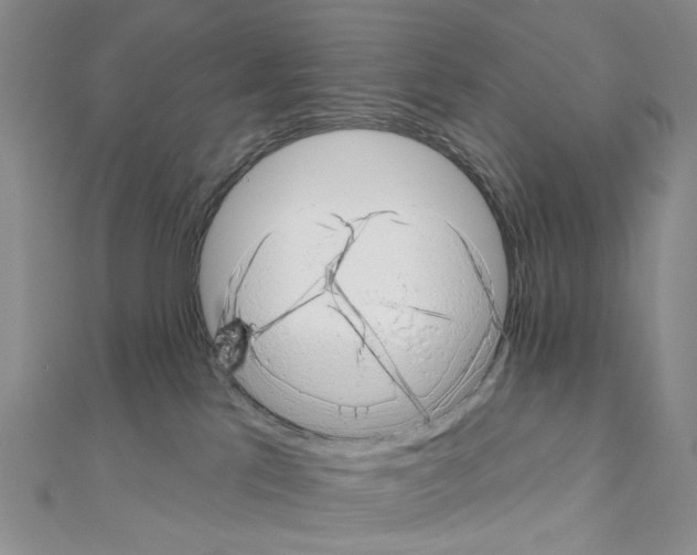 X0000110880041200907301443