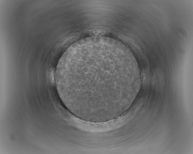 X0000110880042200907301443