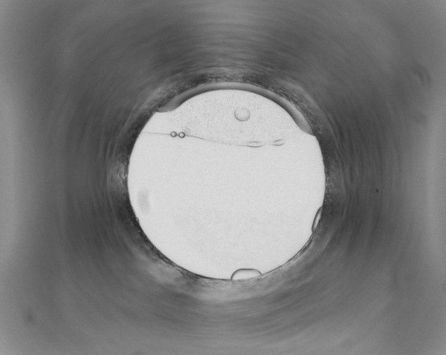 X0000110880045200907301443