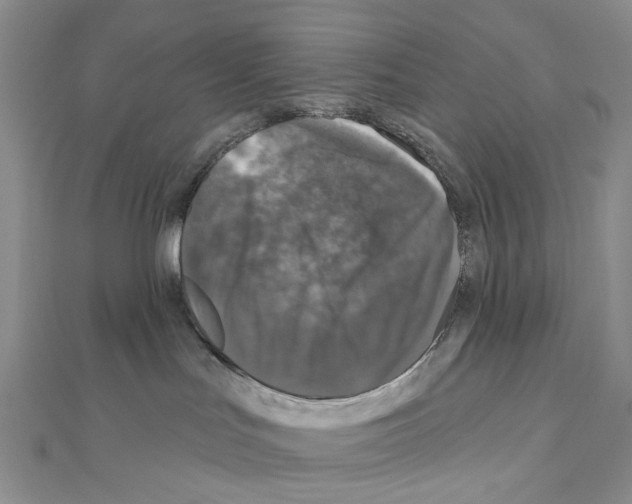 X0000110880047200907301443