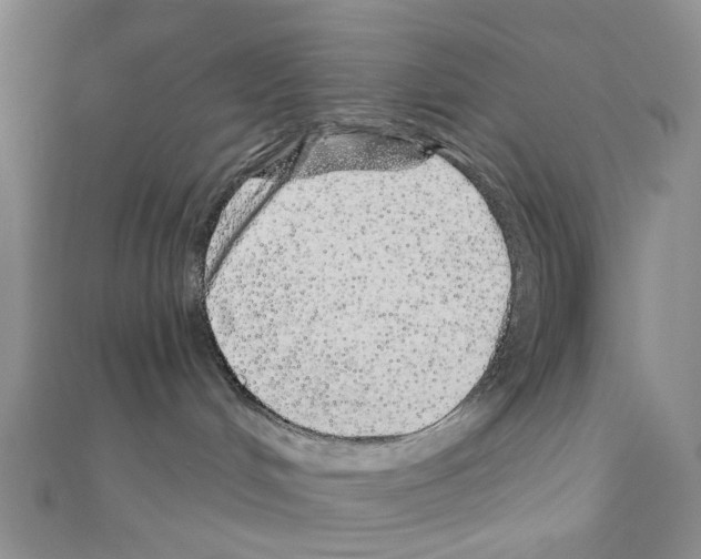 X0000110880048200907301443