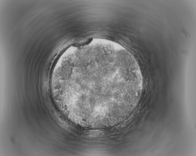 X0000110880050200907301443