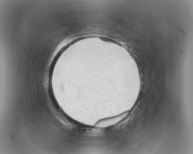 X0000110880056200907301443