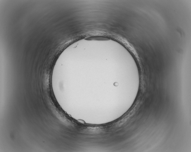 X0000110880057200907301443