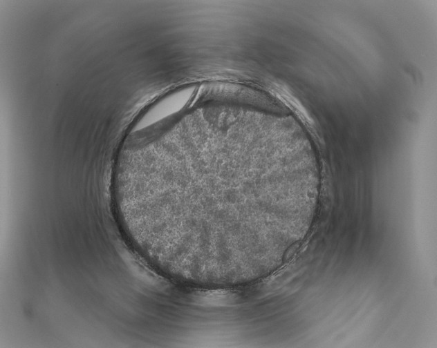 X0000110880058200907301443