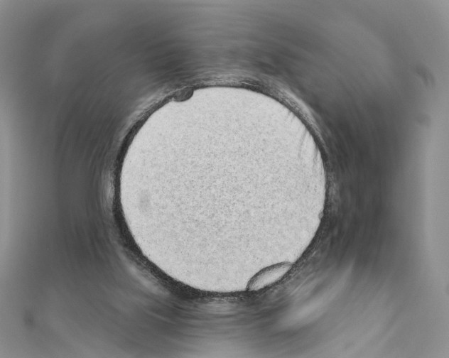 X0000110880059200907301443