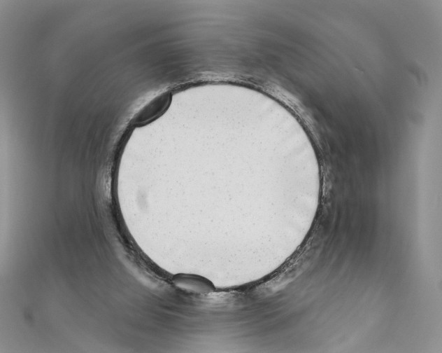 X0000110880060200907301443