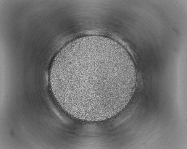 X0000110880061200907301443