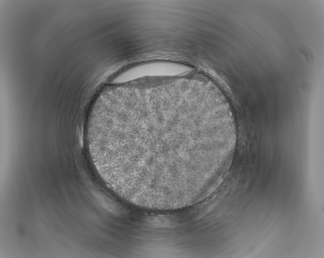 X0000110880062200907301443