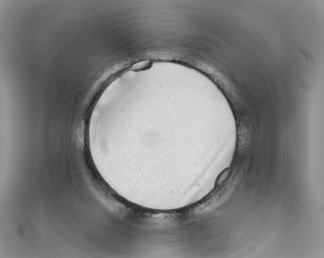 X0000110880064200907301443