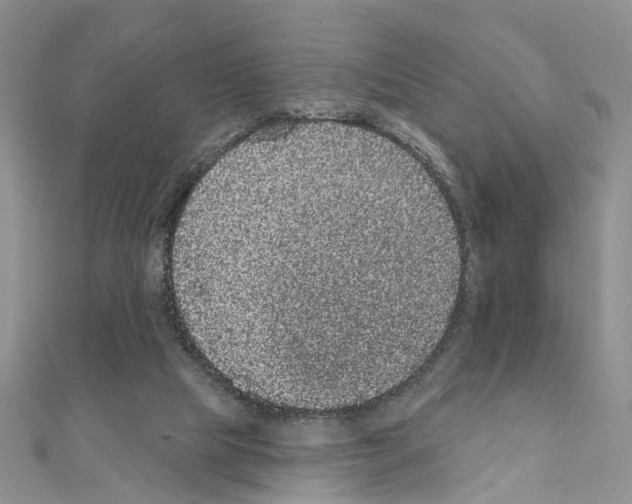 X0000110880065200907301443