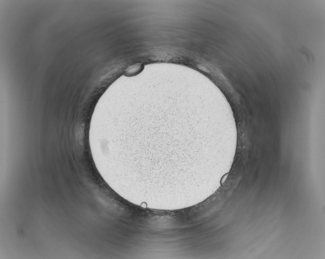 X0000110880066200907301443