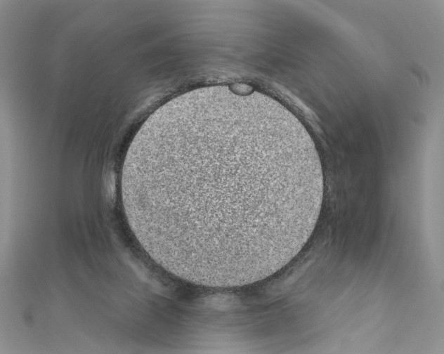 X0000110880067200907301443