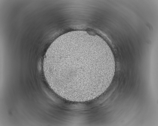 X0000110880069200907301443